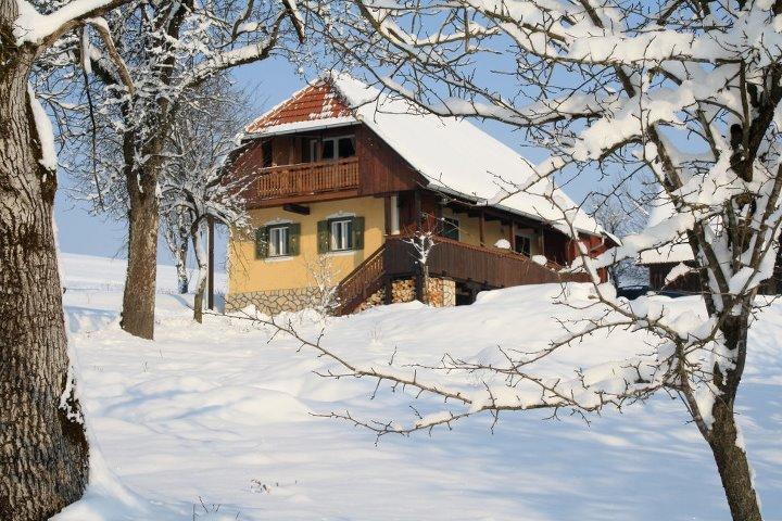 Country House Novosel Дуга-Реса Экстерьер фото